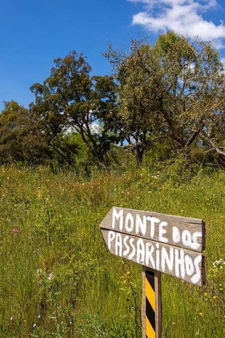 Вилла Monte Dos Passarinhos Грандола Экстерьер фото